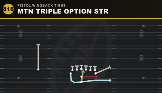 MTN TRIPLE OPTION STR from Pistol Wingback Tight