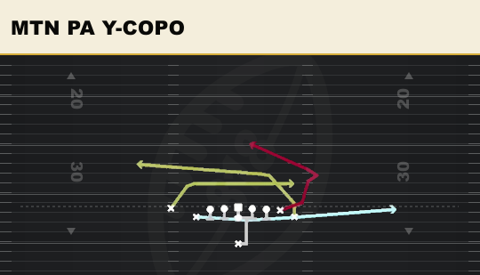 MTN PA Y-COPO from Wing Tight Nasty