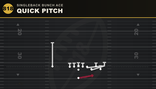 QUICK PITCH from Singleback Bunch Ace