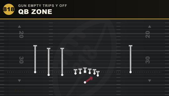 QB ZONE from Gun Empty Trips Y Off