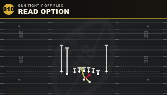READ OPTION from Gun Tight Y Off Flex
