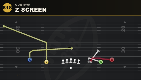 Z SCREEN from Gun 5WR