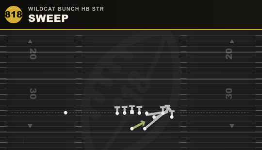 SWEEP from Wildcat Bunch HB Str