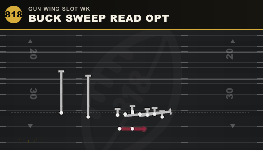 BUCK SWEEP READ OPT from Gun Wing Slot Wk
