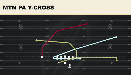 MTN PA Y-CROSS from Split Wing Nasty