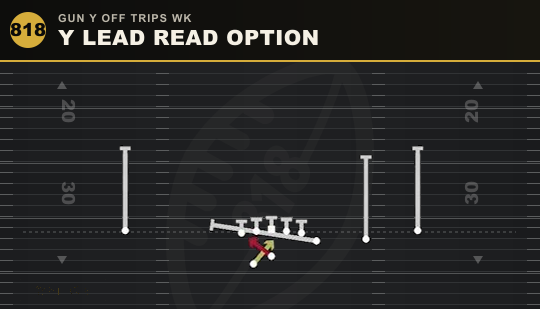 Y LEAD READ OPTION from Gun Y Off Trips Wk