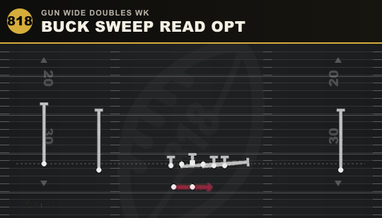 BUCK SWEEP READ OPT from Gun Wide Doubles Wk