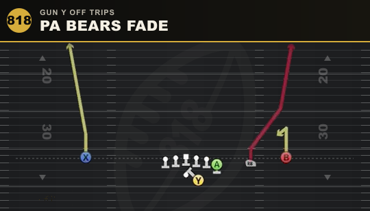 PA BEARS FADE from Gun Y Off Trips