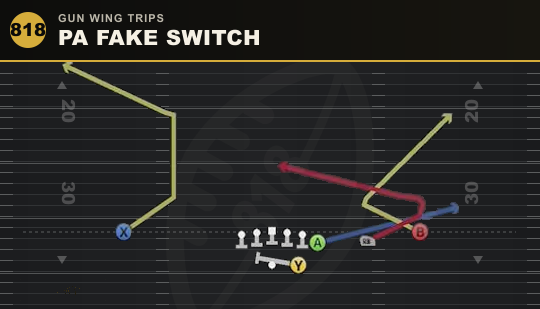 PA FAKE SWITCH from Gun Wing Trips