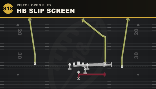 HB SLIP SCREEN from Pistol Open Flex