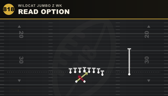 READ OPTION from Wildcat Jumbo Z Wk