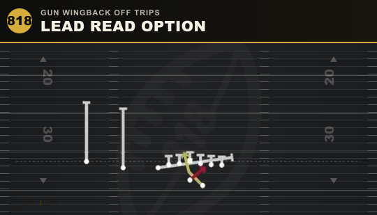 LEAD READ OPTION from Gun Wingback Off Trips