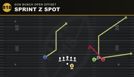 SPRINT Z SPOT from Gun Bunch Open Offset