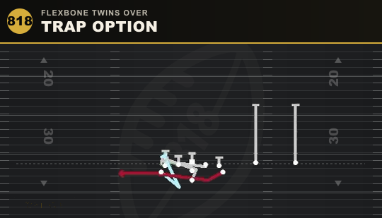 TRAP OPTION from Flexbone Twins Over