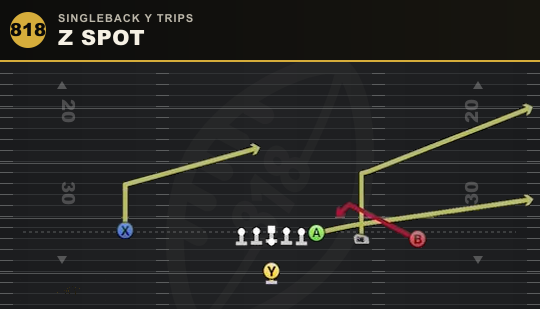 Z SPOT from Singleback Y Trips