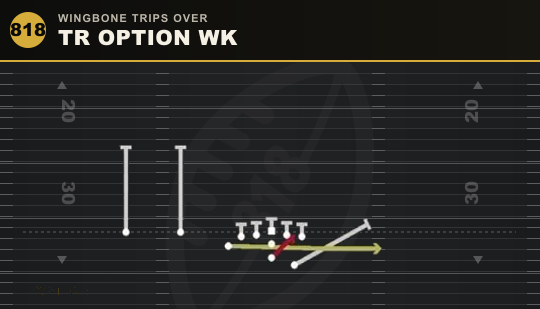TR OPTION WK from Wingbone Trips Over