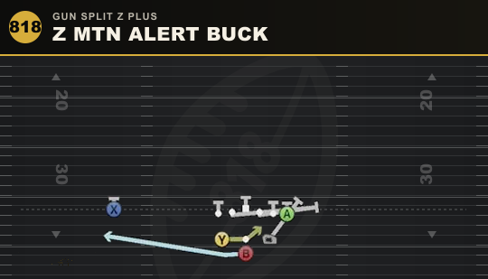 Z MTN ALERT BUCK from Gun Split Z Plus