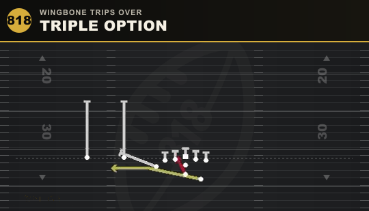 TRIPLE OPTION from Wingbone Trips Over