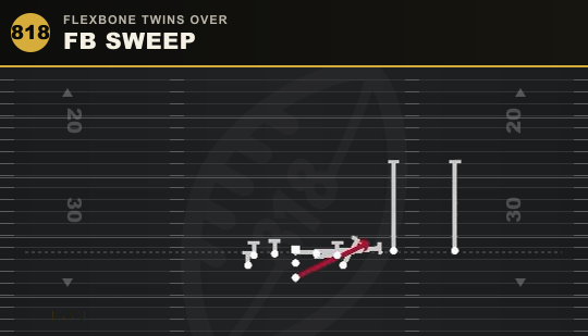 FB SWEEP from Flexbone Twins Over