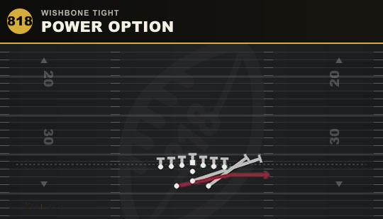 POWER OPTION from Wishbone Tight