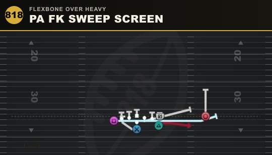 PA FK SWEEP SCREEN from Flexbone Over Heavy