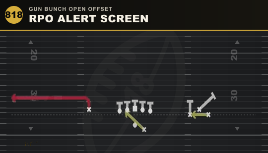RPO ALERT SCREEN from Gun Bunch Open Offset