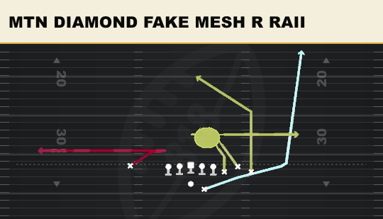 MTN DIAMOND FAKE MESH R RAII from Bunch Str Offset