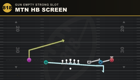 MTN HB SCREEN from Gun Empty Strong Slot