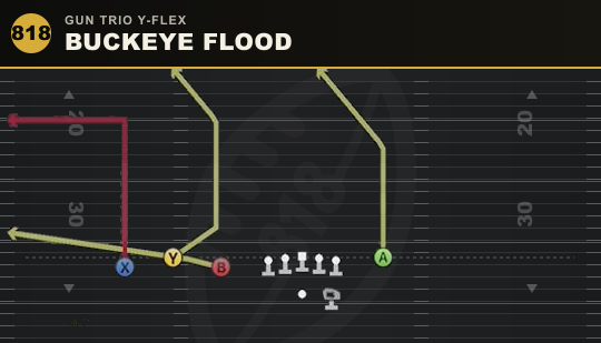 BUCKEYE FLOOD from Gun Trio Y-Flex