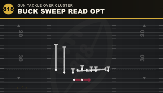 BUCK SWEEP READ OPT from Gun Tackle Over Cluster
