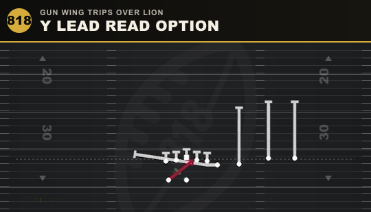 Y LEAD READ OPTION from Gun Wing Trips Over Lion