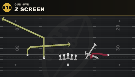 Z SCREEN from Gun 5WR