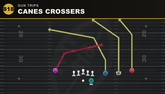 CANES CROSSERS from Gun Trips