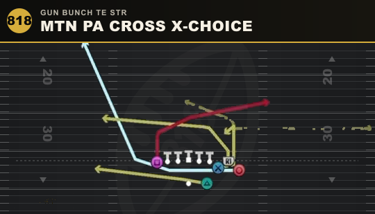 MTN PA CROSS X-CHOICE from Gun Bunch TE Str