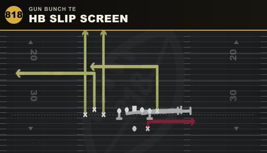 HB SLIP SCREEN from Gun Bunch TE