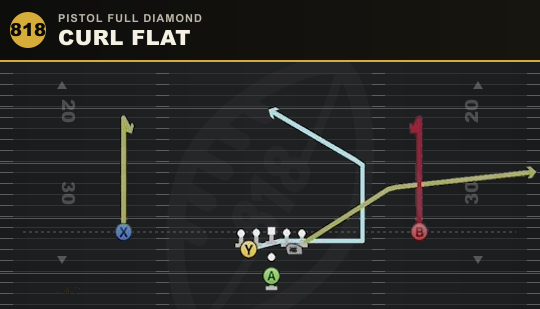 CURL FLAT from Pistol Full Diamond