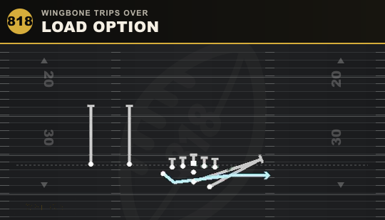 LOAD OPTION from Wingbone Trips Over