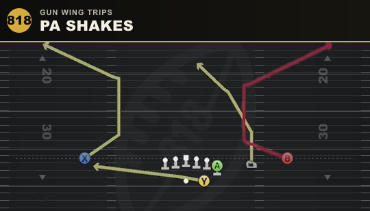 PA SHAKES from Gun Wing Trips