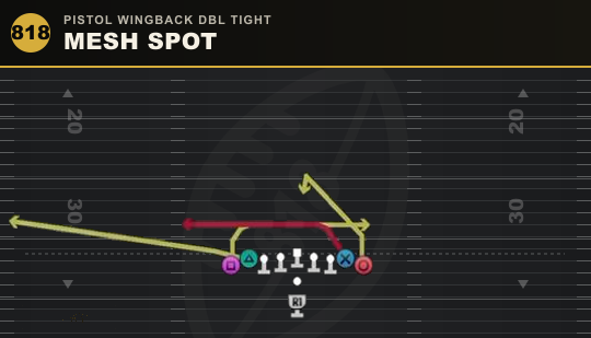 MESH SPOT from Pistol Wingback Dbl Tight