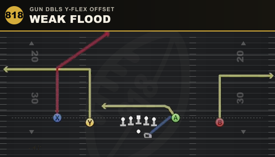 WEAK FLOOD from Gun Dbls Y-Flex Offset