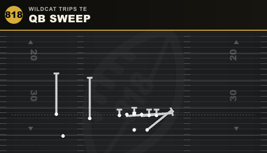 QB SWEEP from Wildcat Trips TE