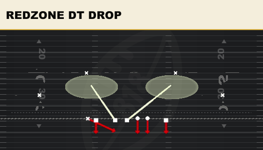 REDZONE DT DROP from 2-4 Load Dbl Mug