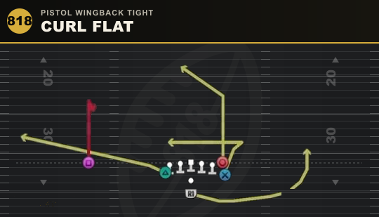 CURL FLAT from Pistol Wingback Tight