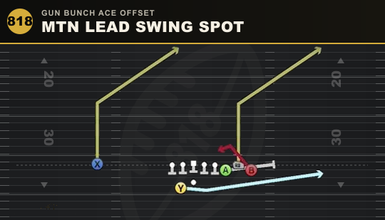 MTN LEAD SWING SPOT from Gun Bunch Ace Offset