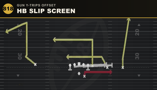HB SLIP SCREEN from Gun Y-Trips Offset