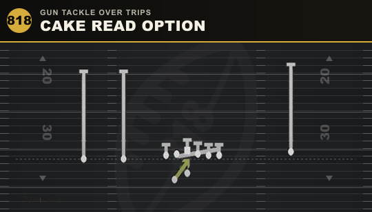 CAKE READ OPTION from Gun Tackle Over Trips