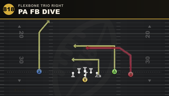 PA FB DIVE from Flexbone Trio Right