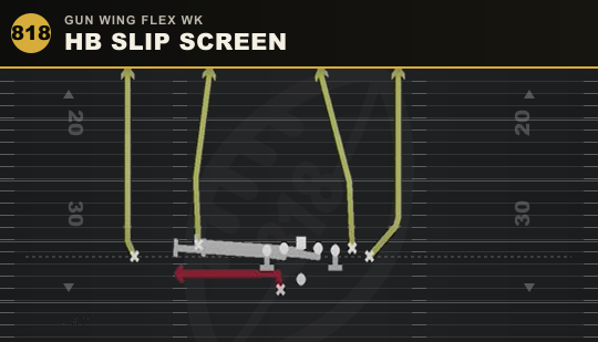 HB SLIP SCREEN from Gun Wing Flex Wk