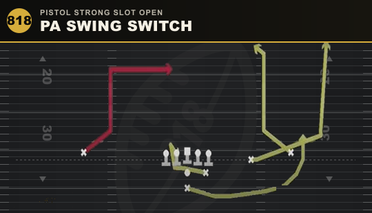 PA SWING SWITCH from Pistol Strong Slot Open