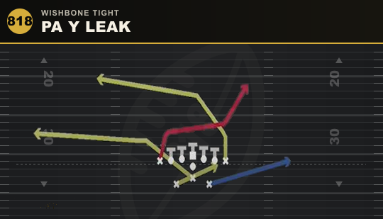 PA Y LEAK from Wishbone Tight